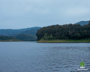 L’écotourisme : un levier pour la conservation et le développement durable.